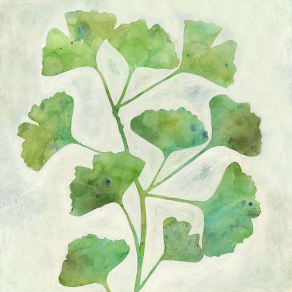 Picture of GINKGO GREEN II