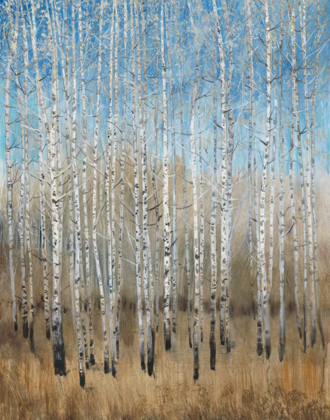 Picture of DUSTY BLUE BIRCHES II