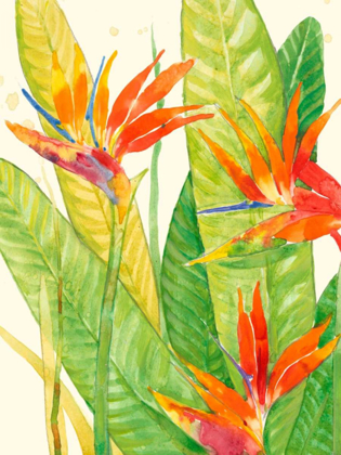 Picture of WATERCOLOR TROPICAL FLOWERS III