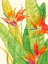 Picture of WATERCOLOR TROPICAL FLOWERS III