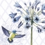 Picture of HUMMINGBIRD DANCE II