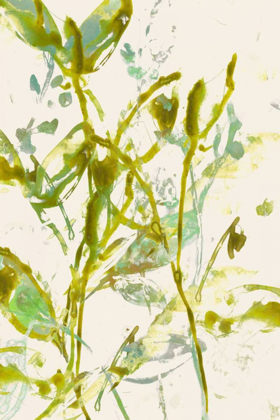 Picture of WATERCOLOR LEAVES II