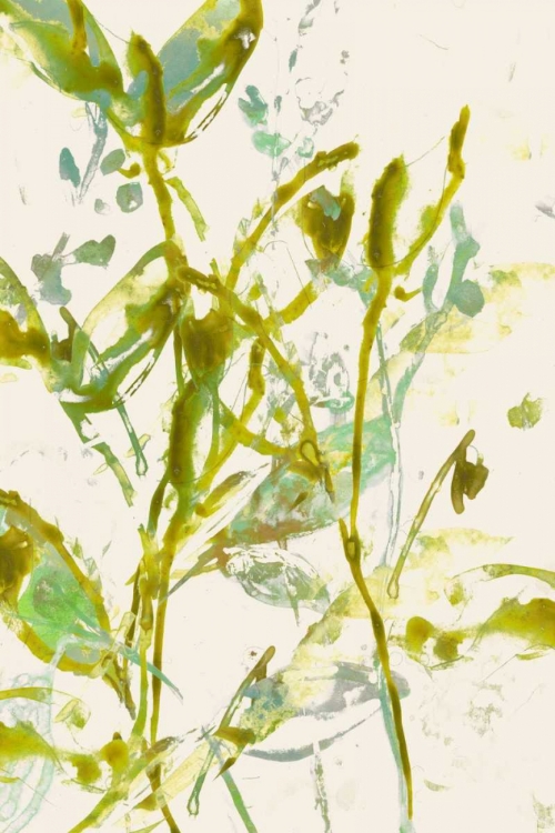 Picture of WATERCOLOR LEAVES II