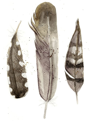 Picture of CUSTOM EARTHTONE FEATHERS II (ASH)