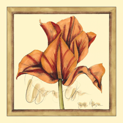Picture of TULIP STUDY IV