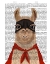 Picture of SUPER LLAMA