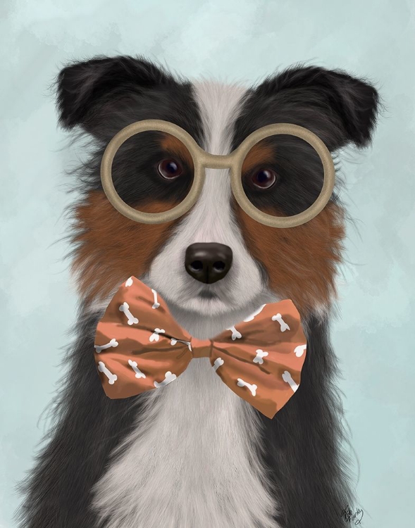 Picture of BORDER COLLIE, TRICOLOUR, WITH GLASSES AND BOW TIE