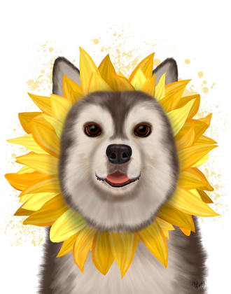 Picture of HUSKY SUNFLOWER