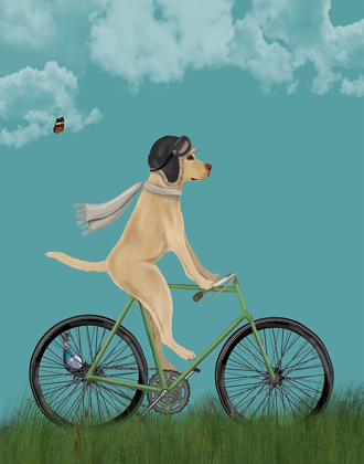Picture of YELLOW LABRADOR IN FLYING HELMET ON BICYCLE, SKY