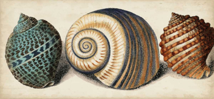 Picture of SHELL TRIO I