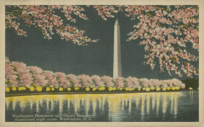 Picture of WASHINGTON MONUMENT AT NIGHT