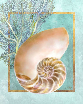 Picture of NAUTILUS SHELL AND CORAL