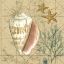 Picture of COASTAL MAP COLLAGE II