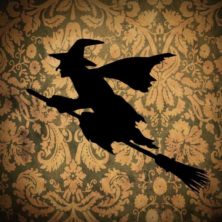 Picture of WITCH AND DAMASK