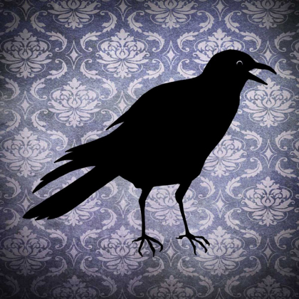 Picture of CROW AND DAMASK