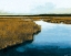 Picture of WET LANDS I