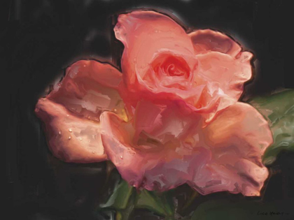 Picture of PAINTERLY FLOWER IV