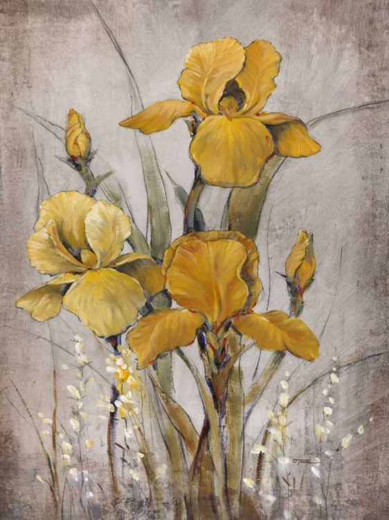 Picture of GOLDEN IRISES II