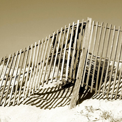 Picture of FENCES IN THE SAND II