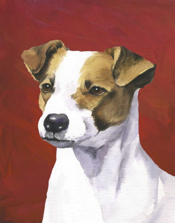 Picture of DOG PORTRAIT-JACK