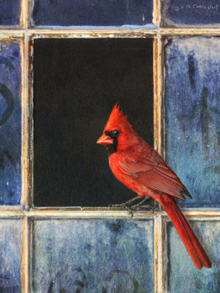 Picture of CARDINAL WINDOW