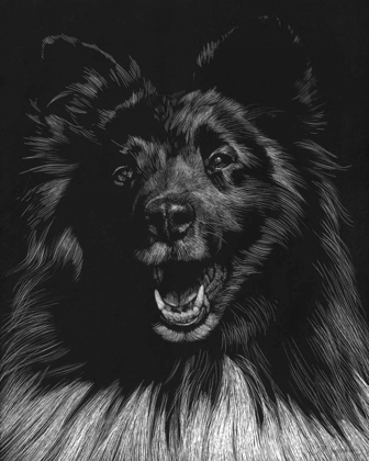 Picture of CANINE SCRATCHBOARD IX