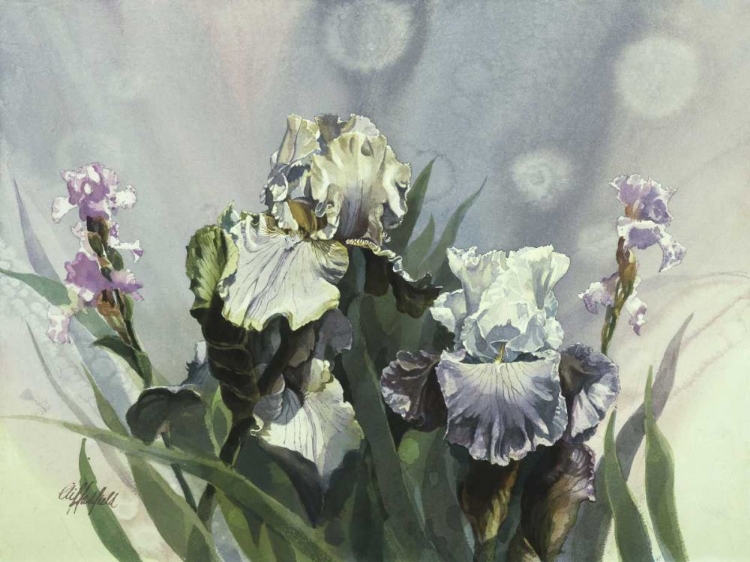 Picture of HADFIELD IRISES III