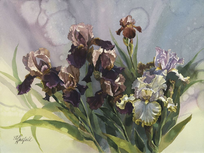 Picture of HADFIELD IRISES IV