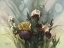 Picture of HADFIELD IRISES VI