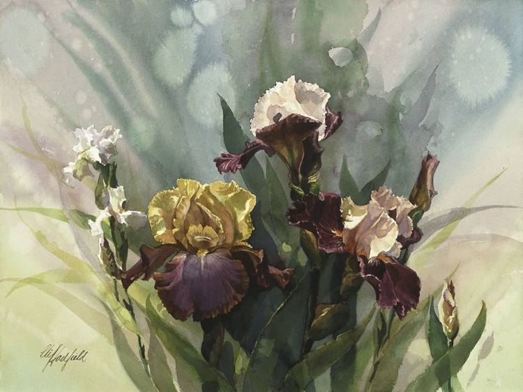 Picture of HADFIELD IRISES VI