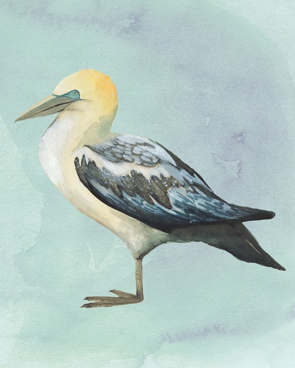 Picture of WATERCOLOR BEACH BIRD III