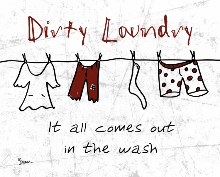 Picture of DIRTY LAUNDRY GRAY