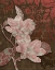 Picture of MAGNOLIA DAMASK