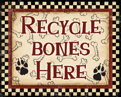 Picture of RECYCLE BONES