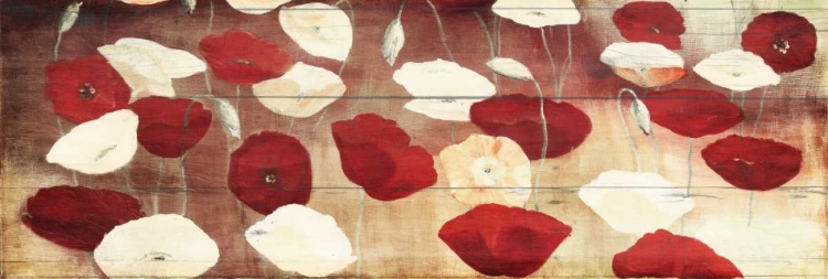 Picture of RED POPPIES