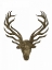 Picture of AGED DEER