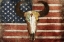 Picture of US SKULL FLAG