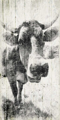 Picture of VINTAGE COW