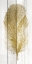 Picture of FEATHER OF GOLD 1
