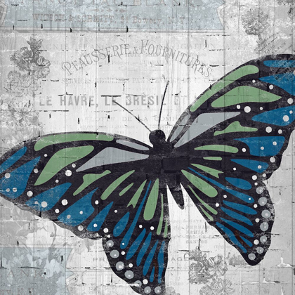 Picture of VINTAGE BUTTERFLY 1