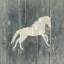 Picture of IN THE WEST 3