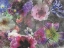 Picture of FLORAL MEETING