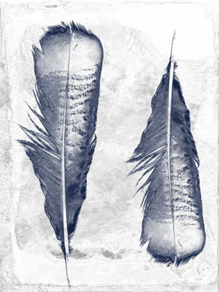 Picture of FEATHER DUO