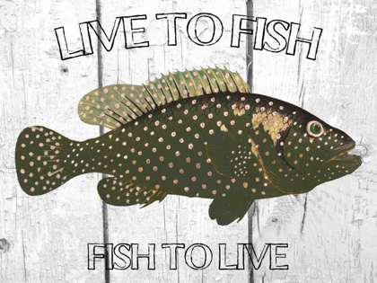 Picture of LIVE TO FISH
