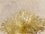 Picture of IVORY COAST PEACOCK