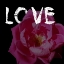 Picture of LOVE