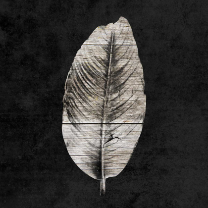Picture of LEAF BY THE SPIRIT