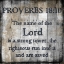 Picture of PROVERBS 18-10