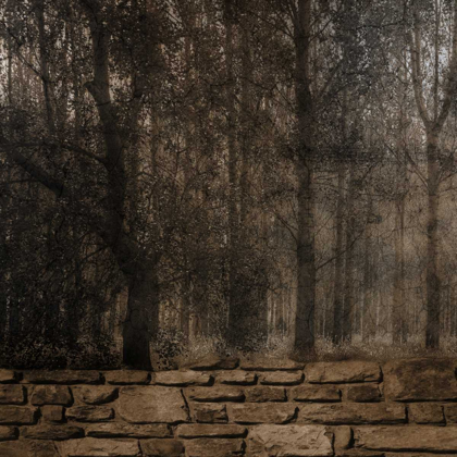 Picture of STONE WALL LANDSCAPE