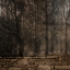 Picture of STONE WALL LANDSCAPE